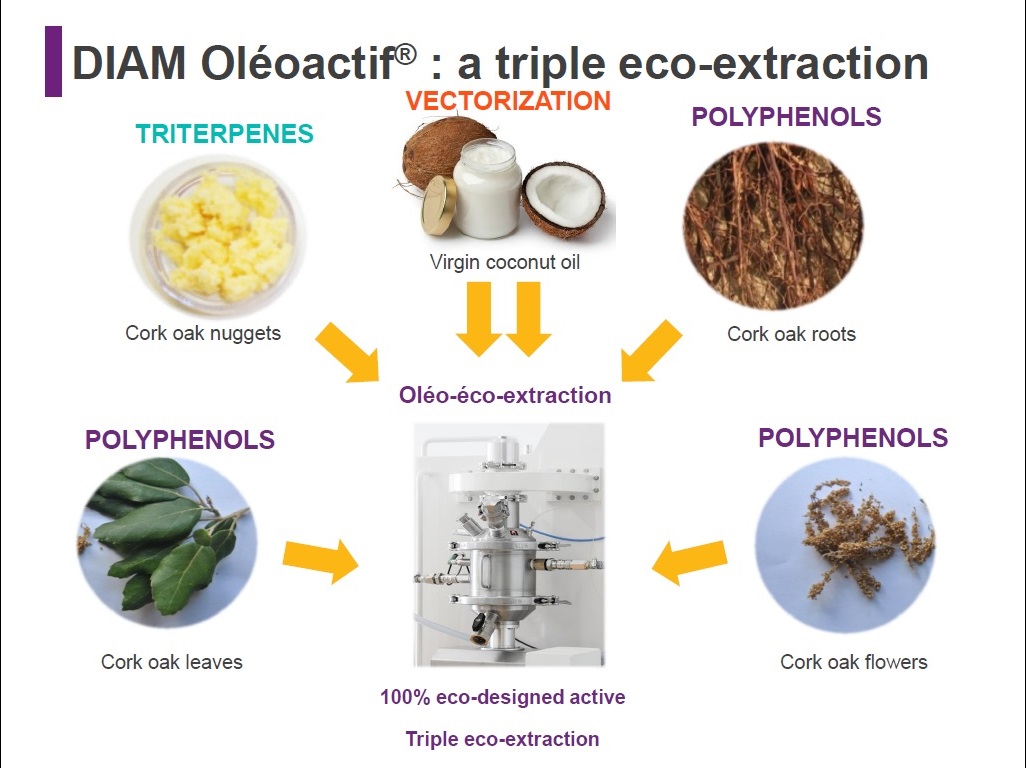 DIAM OLEOACTIF: a triple éco-extraction