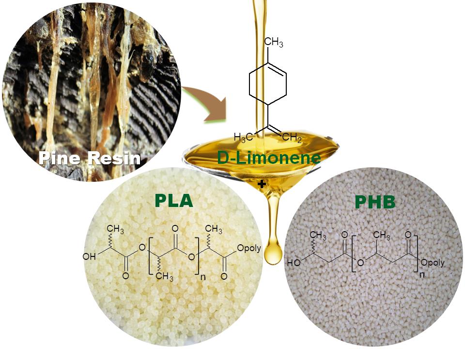 Sustainable Additives to Improve the Mechanical and Thermal Properties of Injected Moulded Thermoplastic Starch. Schematic representation of the thermoplastic starch (TPS) preparation and the processing of TPS–resin blend formulations pine resin derivatives.