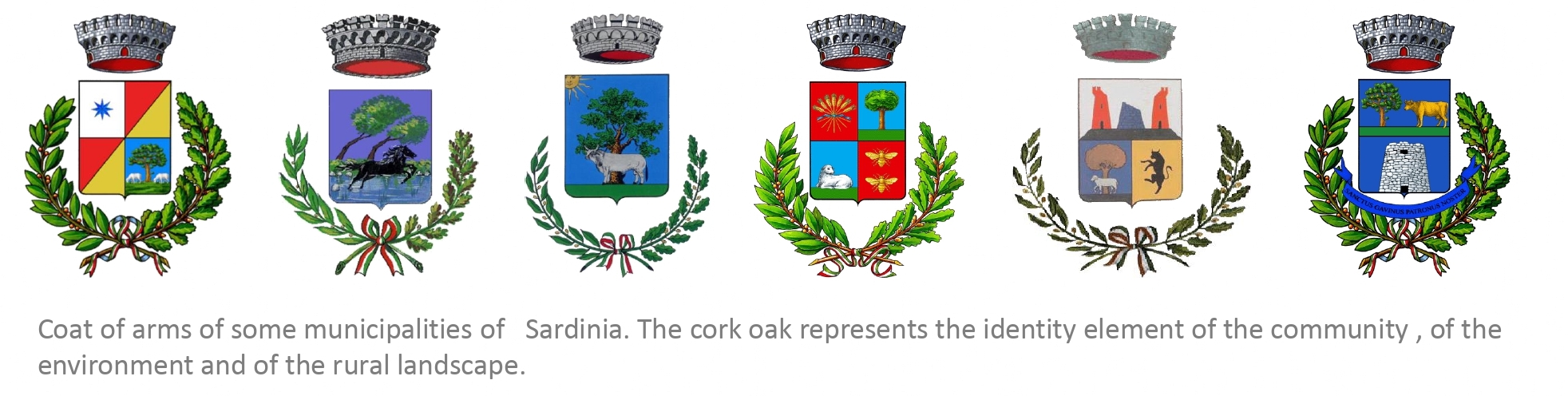 Coat of arms of some municipalities of Sardinia. The cork oak represents the identity element of the community, the environment and the rural landscape.