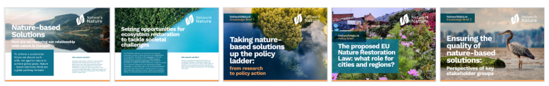 Nature-based solutions policy brief - Nature-based solutions