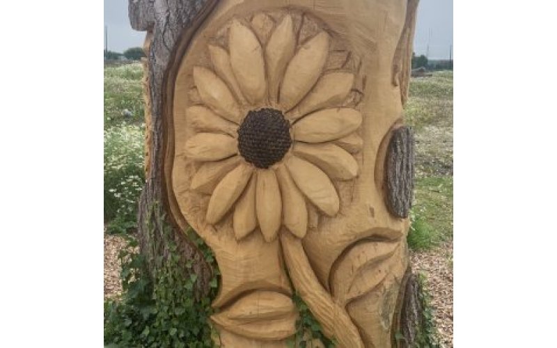 Sunflower carved into tree trunk