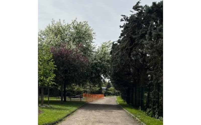 Gravel avenue with formal tree planting at either side
