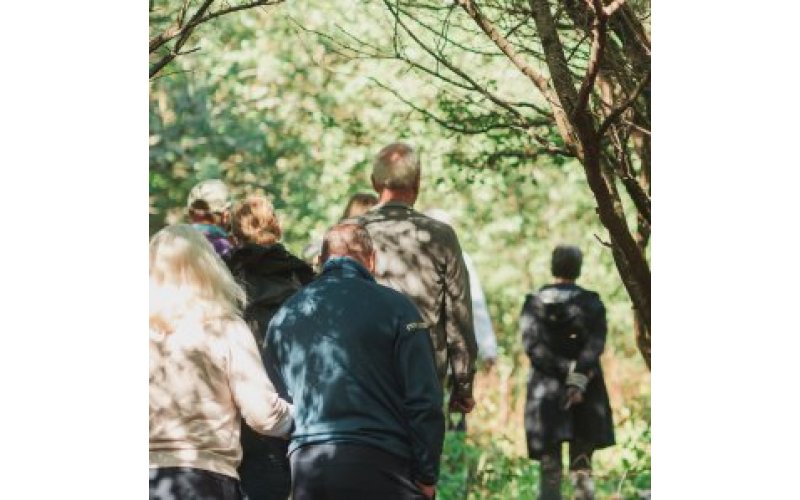 People walking away from the camera in woodland