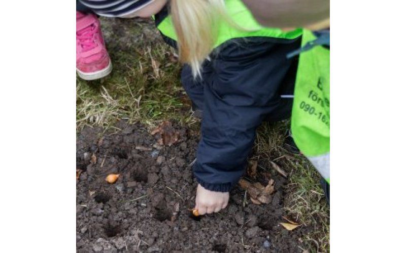 Hands of small children planting into soil