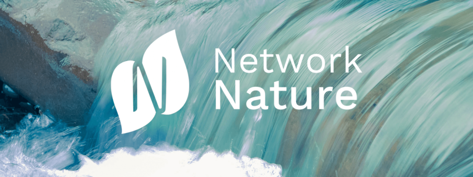 NetworkNature logo