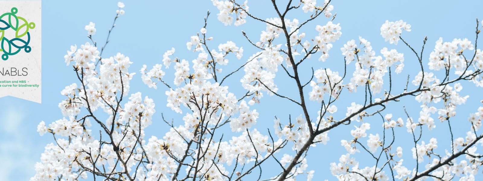 eNaBlS project homepage banner