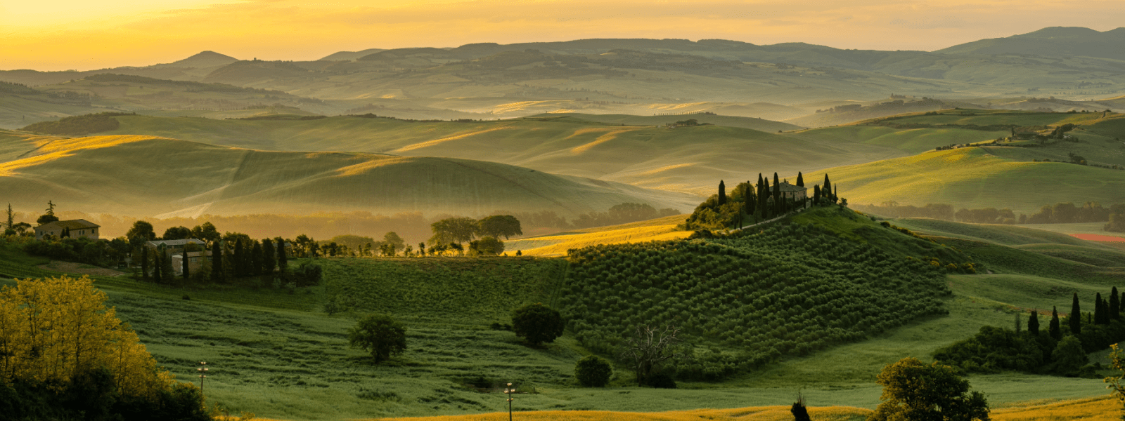 Fields in Italy