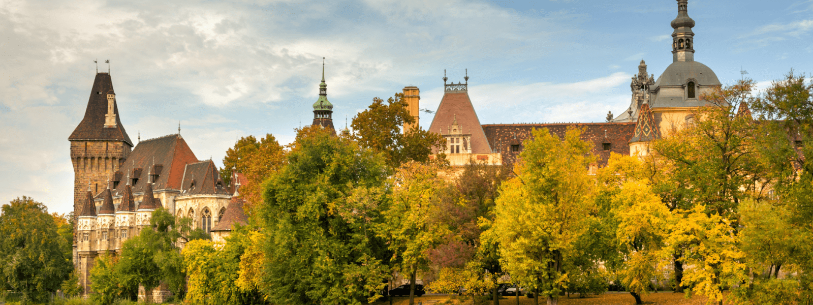 Trees in Budapest
