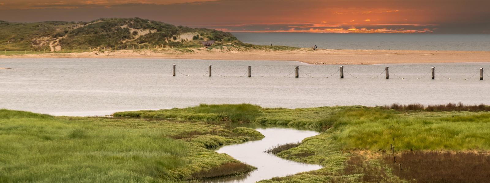 Image of a saltmarsh with an inlet in the foreground and the sea beyond