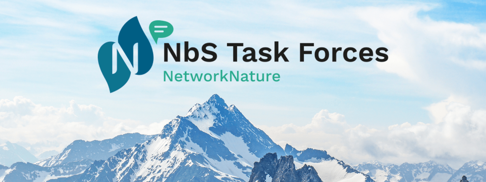 NN Task Forces