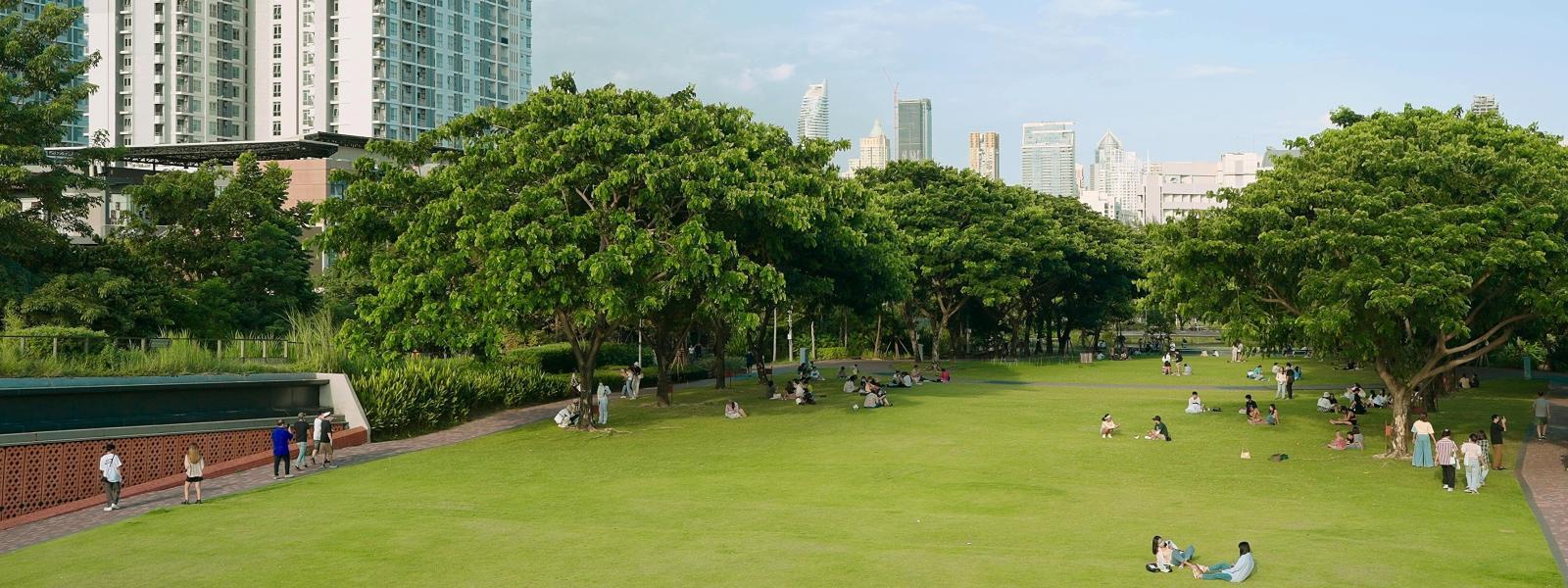 green space with surrounding trees in the middle of a city