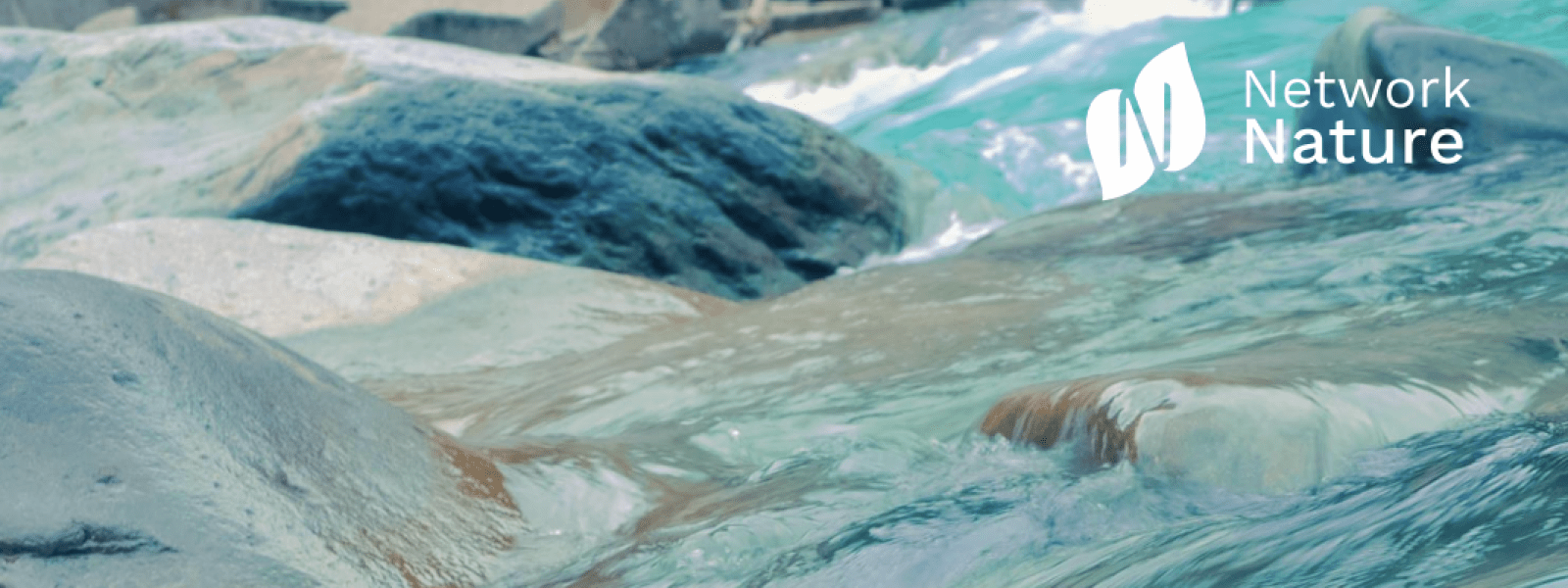 water rushing - networknature logo