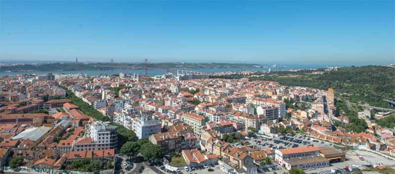 Lisbon's street trees