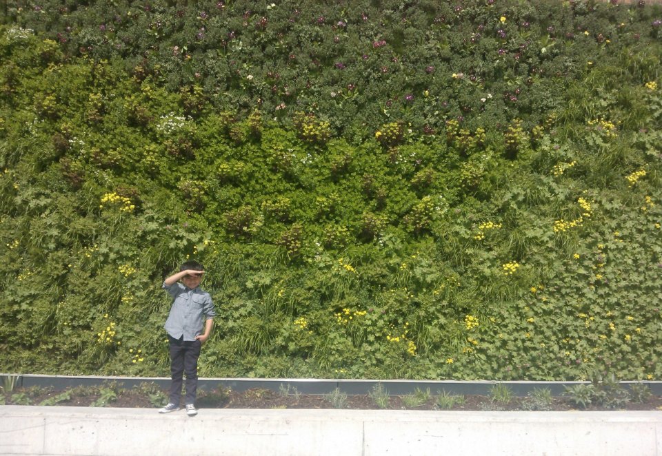 Green wall at Birmingham New Street Station - credit to Qsustain