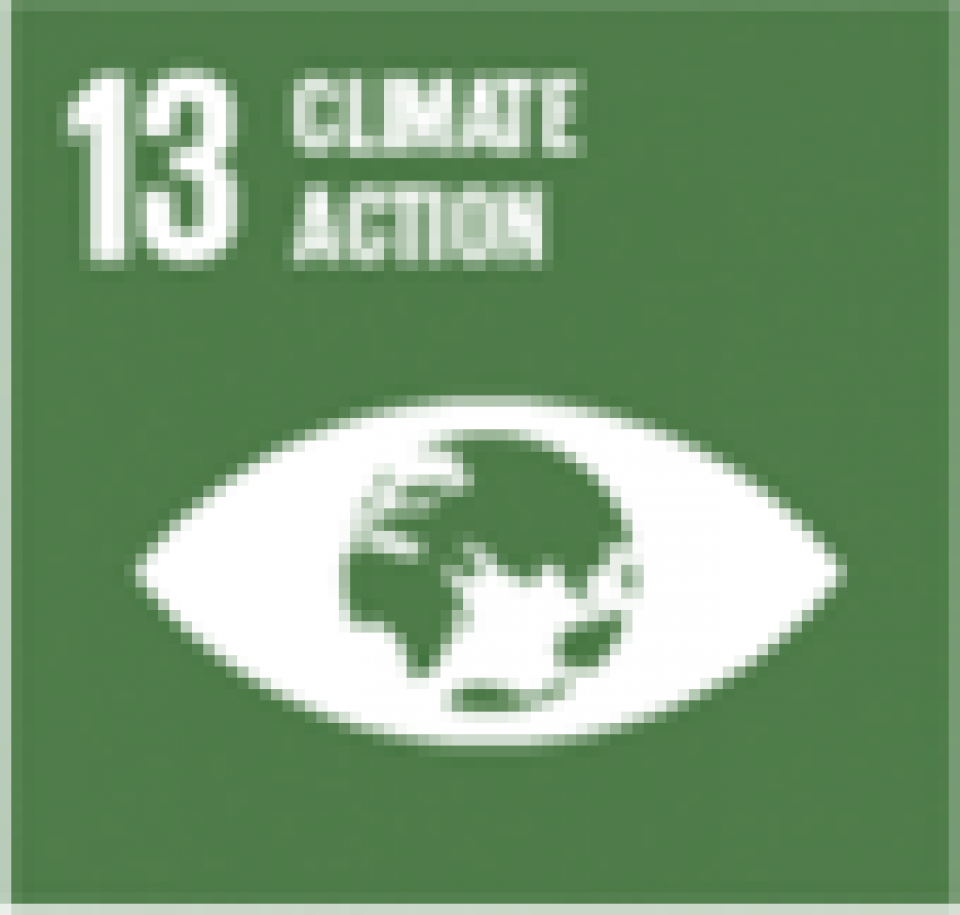 SDG 13