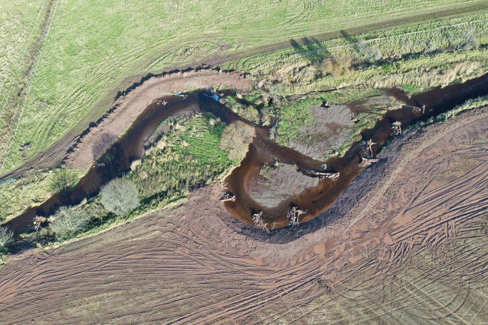 Introducing woody debris into the Forth river