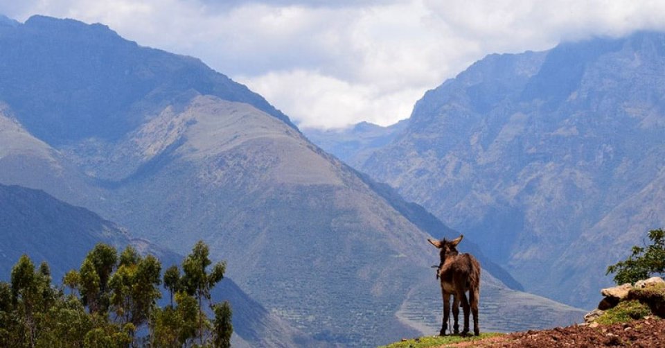 Peruvian lanscape