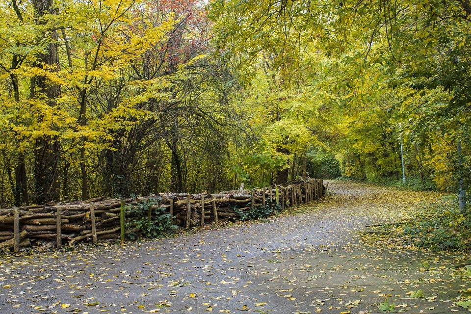 Peri-Urban Forest Ostend – Belgium