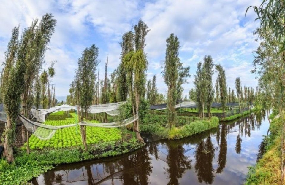 how did the chinampas increase agricultural production
