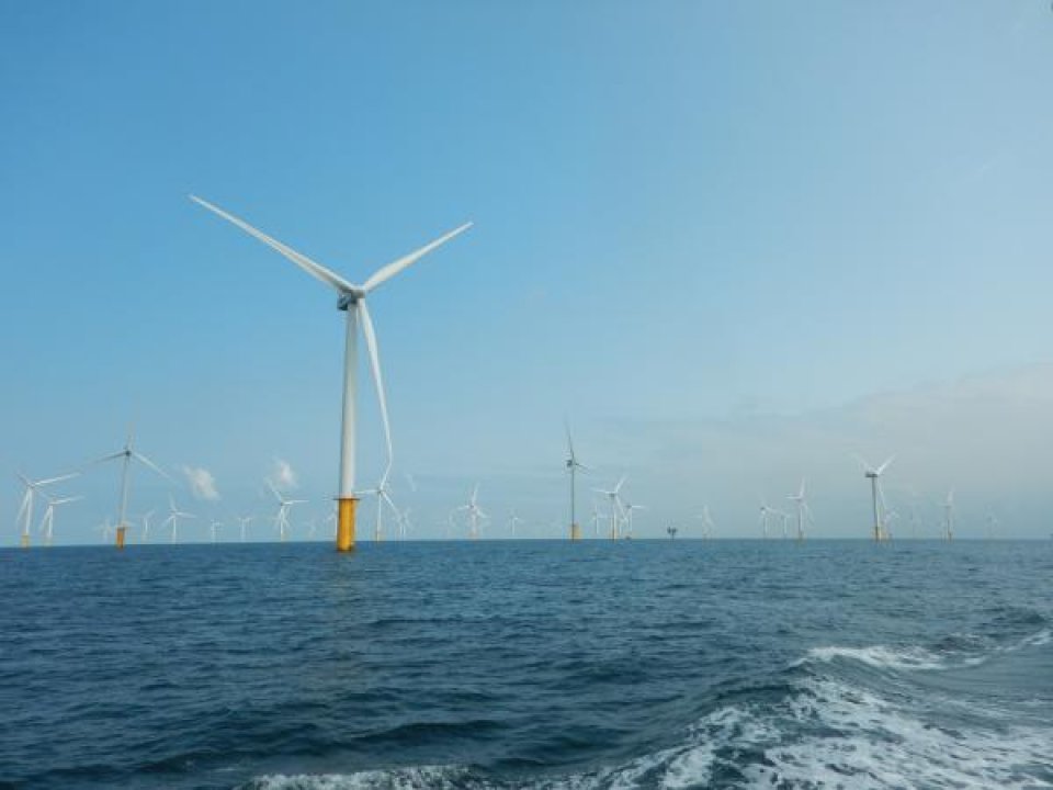 North Sea wind farms (c) RBINS