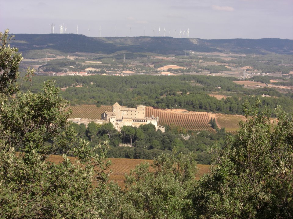 Poblet area