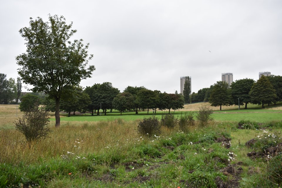 Green Infrastructure Strategic Intervention: Greater Easterhouse