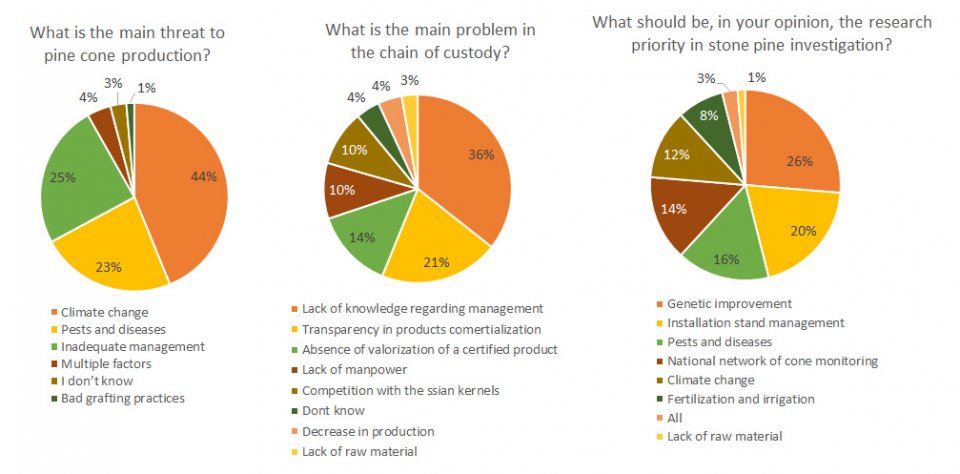 Results of the survey