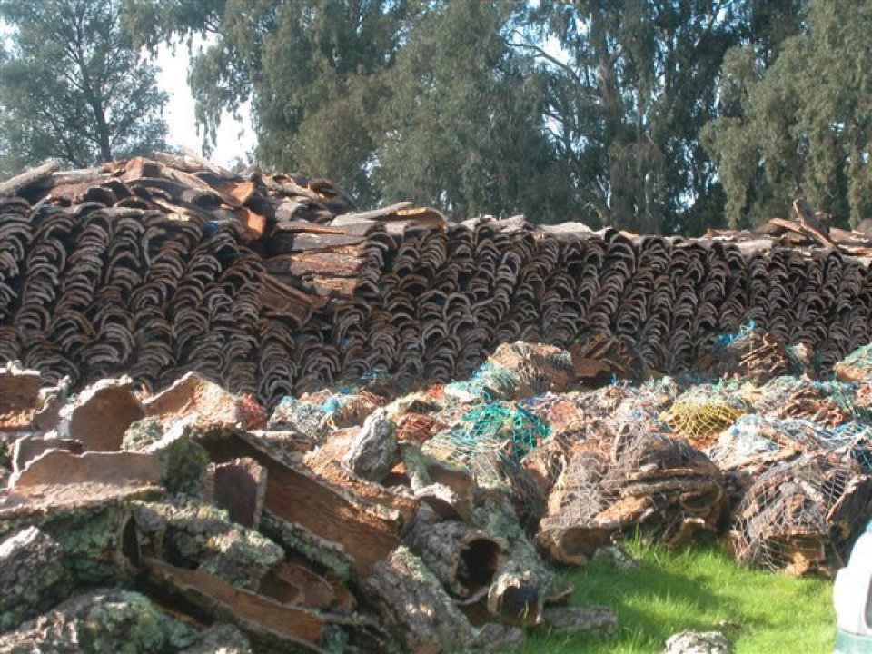 Cork pile in Portugal.