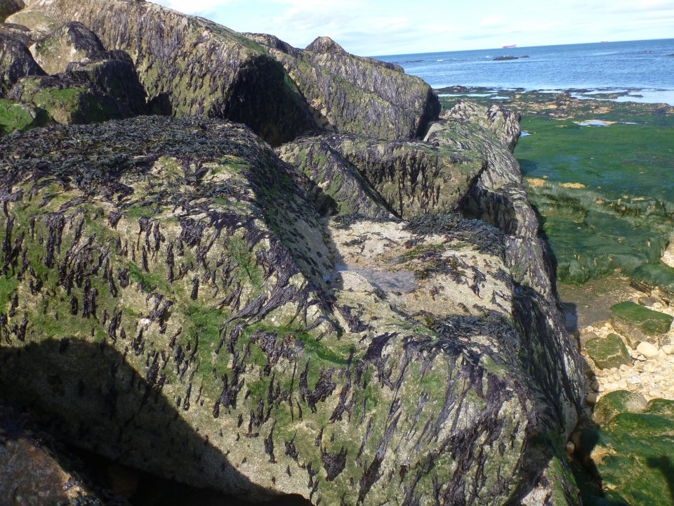 Passive enhanced boulder with water retention feature uppermost.