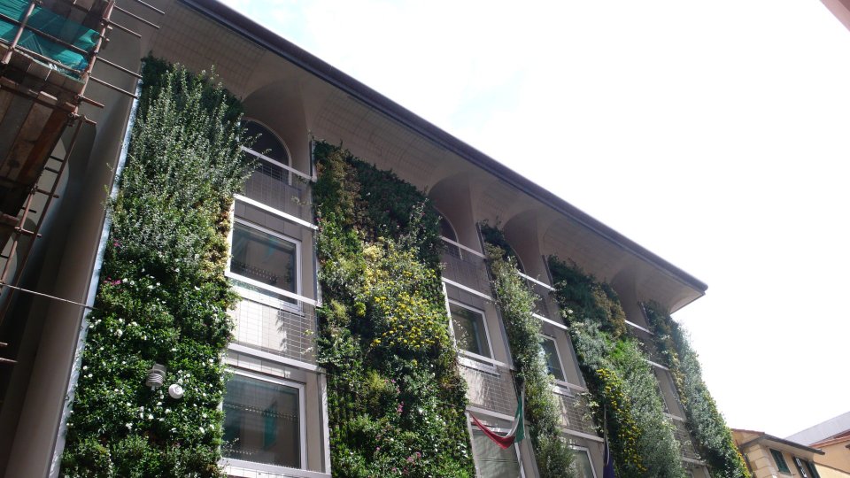 Green Façade Pilot Project, INPS, Genova | NetworkNature