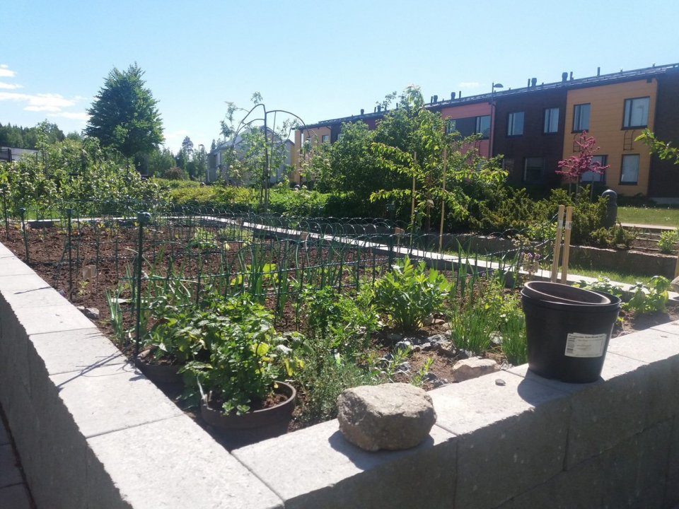 UNaLab Urban garden