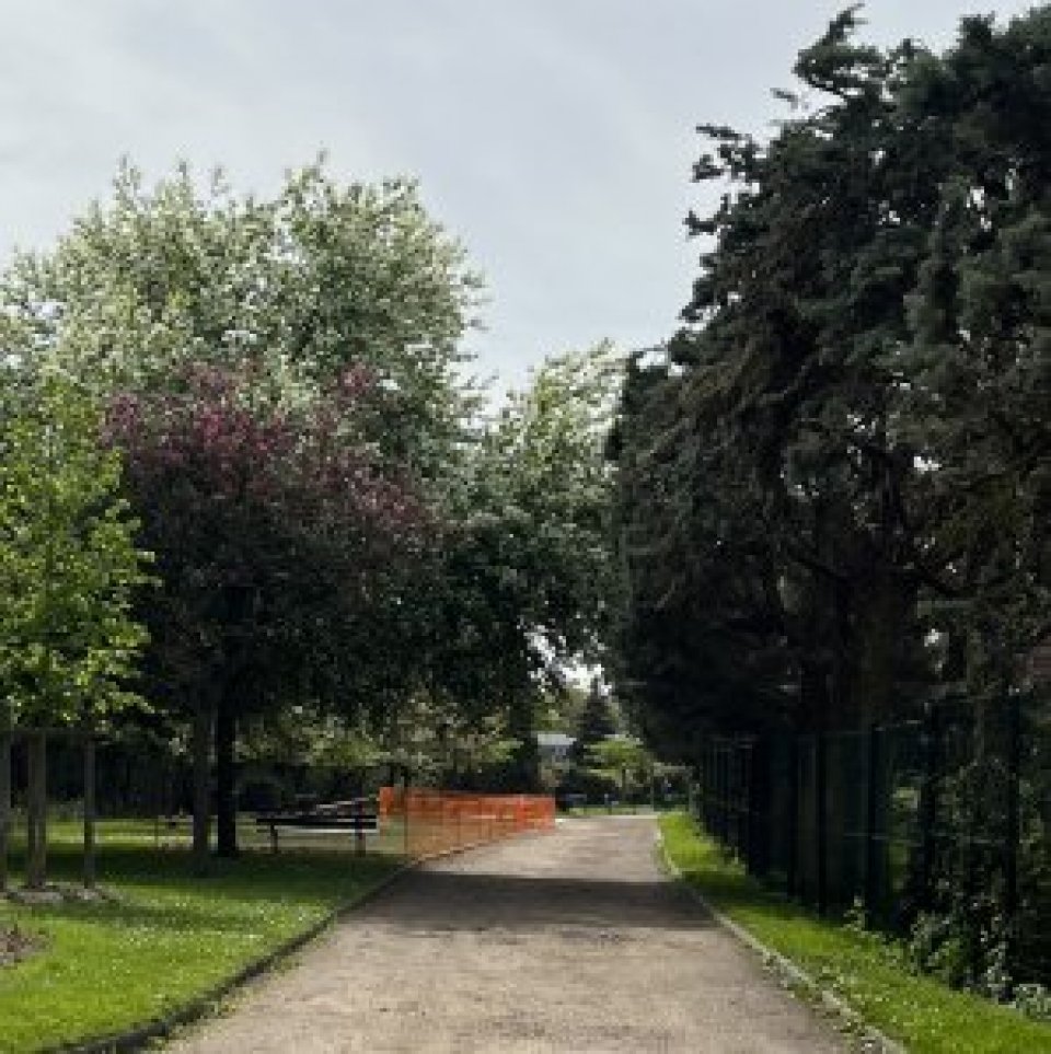 Gravel avenue with formal tree planting at either side