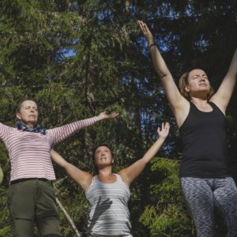 Three women in forest holding Vrikshasana yoga pose