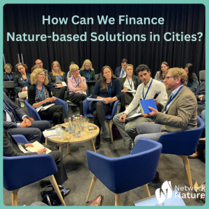 How can we finance NbS in cities?