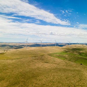 Unsplash: Anthony Ketland