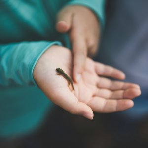 Clint McKoy: Child with Lizard