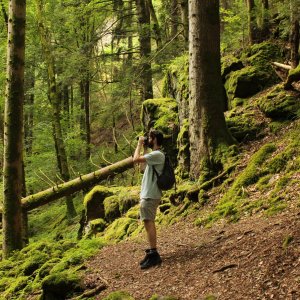 Adam appreciating and observing a lush green forest