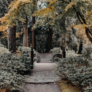 Unsplash: Jacalyn Beales