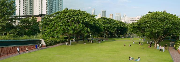 green space with surrounding trees in the middle of a city