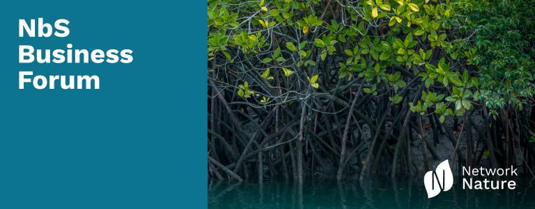 NbS Business Forum - banner with mangroves and navy blue side blocker 