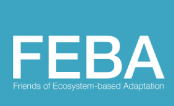 EbA Criteria – Friends of EbA (FEBA)