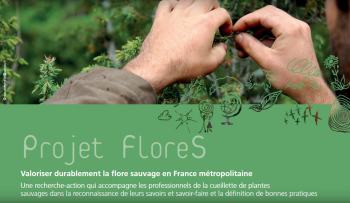 Project FloreS