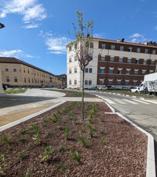 Street greening interventions in Valdocco. Credits: Alessandro Tempia Valente, 2023.