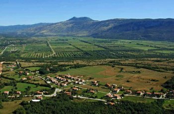 'Čepićko polje' in Istria, Croatia - possible area for extensive truffle production