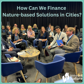 How can we finance NbS in cities?