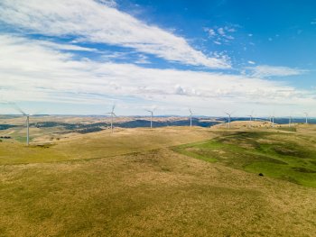 Unsplash: Anthony Ketland