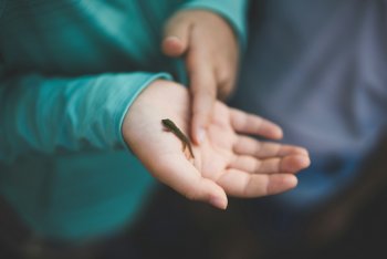 Clint McKoy: Child with Lizard