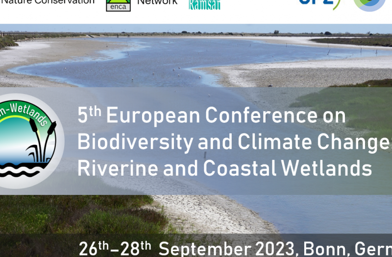 Banner of the European Conference "Riverine and coastal wetlands for biodiversity and climate"