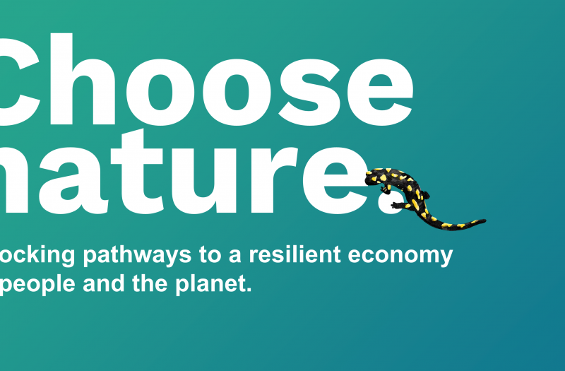 Choose nature. 