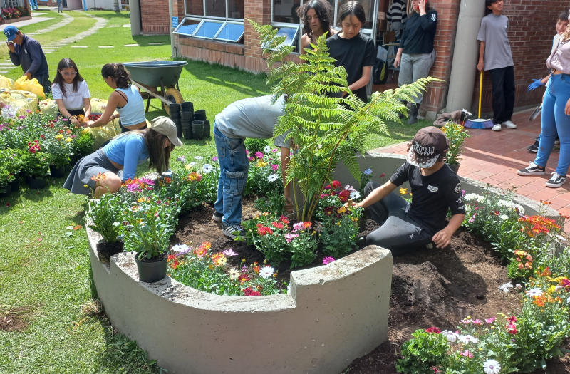 Planting for pollinators in a school of Borde Norte. Credits: Diana Ruiz, 2024.